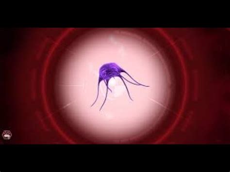 how to beat shadow plague on normal|Plague Inc: Evolved: The Ultimate Normal Guide.